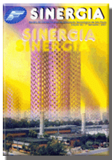 					Visualizar v. 2 n. 1 (2001): Revista Sinergia - e-ISSN 2177-451X - p-ISSN 1677-499X
				